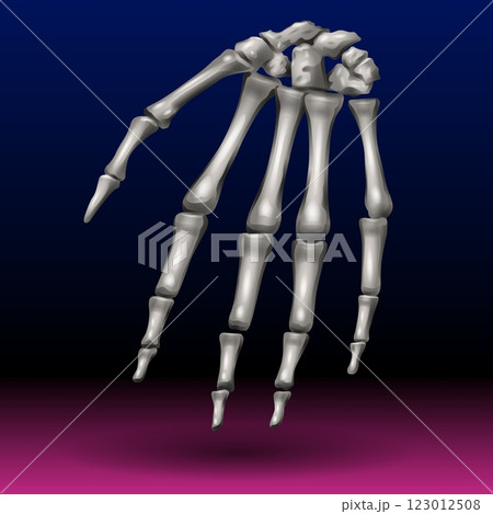 A detailed depiction of a human hand's skeleton is set against a gradient background transitioning from deep blue to pink. The light casts a metallic sheen on the bones, accentuating their structure. 123012508