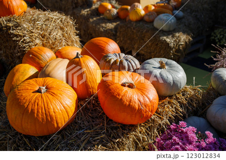Farmer's pumpkin market autumn photo zone Farmer's pumpkin market autumn photo zone 123012834