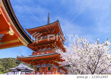 清水寺の桜の風景 京都の桜の名所 青空に映える三重塔 春の京都観光スポット 清水寺の桜の風景 京都の桜の名所 青空に映える三重塔 春の京都観光スポット 123012897