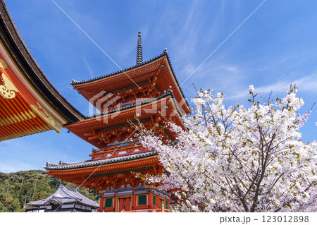 清水寺の桜の風景　京都の桜の名所　青空に映える三重塔　春の京都観光スポット 123012898
