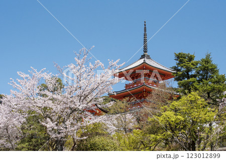 清水寺の桜の風景　京都の桜の名所　青空に映える三重塔　春の京都観光スポット 123012899