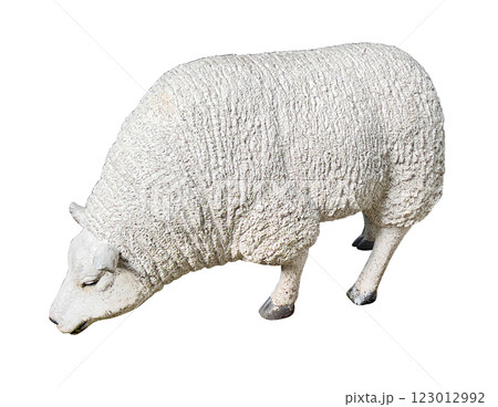 Realistic sheep figurine grazing on white background 123012992