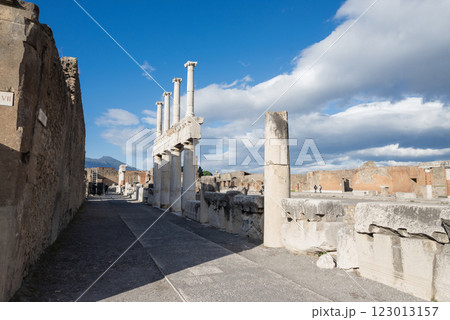 view of the ruins of the ancient historical city of Pompeii in Naples 123013157