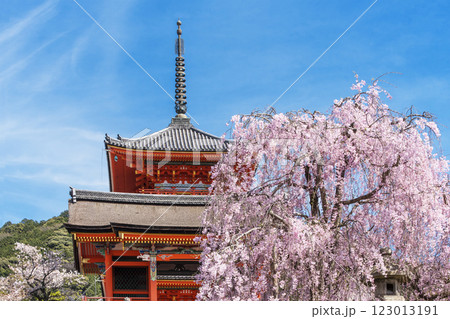 清水寺の桜の風景 京都の桜の名所 青空に映える三重塔 春の京都観光スポット 清水寺の桜の風景 京都の桜の名所 青空に映える三重塔 春の京都観光スポット 123013191