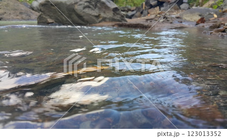 Photo of cold river water in the forest. Photo of cold river water in the forest. 123013352