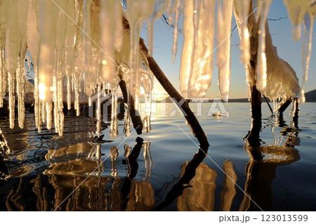朝日を浴びるしぶき氷と水鏡 朝日を浴びるしぶき氷と水鏡 123013599