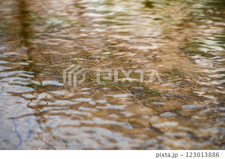 The surface of the clear water of a shallow mountain river, the bottom of which is overgrown with green algae or aquatic plants. Natural environments, environmental protection, fresh water resources The surface of the clear water of a shallow mountain river, the bottom of which is overgrown with green algae or aquatic plants. Natural environments, environmental protection, fresh water resources 123013886