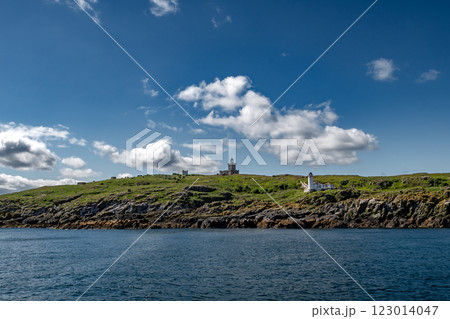Seabird Nature Reserve Isle Of May In The Firth Of Forth In The Atlantic Ocean Near Anstruther In Scotland 123014047
