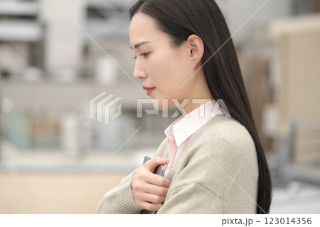 都会とパソコンとビジネスウーマンのイメージ 都会とパソコンとビジネスウーマンのイメージ 123014356