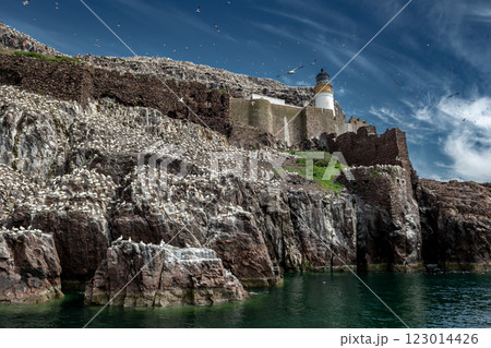 Bass Rock Island With Nesting Northern Gannets (Morus Bassanus) In The Atlantic Ocean Of Firth of Forth At North Berwick Near Edinburgh In Scotland 123014426