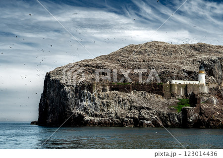 Bass Rock Island With Nesting Northern Gannets (Morus Bassanus) In The Atlantic Ocean Of Firth of Forth At North Berwick Near Edinburgh In Scotland, UK 123014436