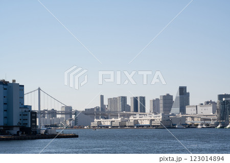 東京都芝浦周辺の高層ビル群と隅田川の風景 123014894