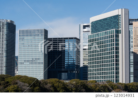 東京都汐留の高層ビル群の風景 123014931