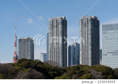 浜松町の高層ビル群と東京タワー 123014934