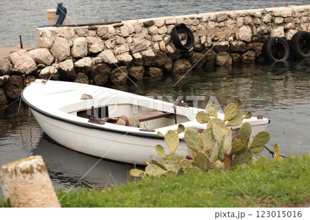 Serene boat anchored by old stone pier in tranquil waters surrounded by vibrant greenery and cactus 123015016