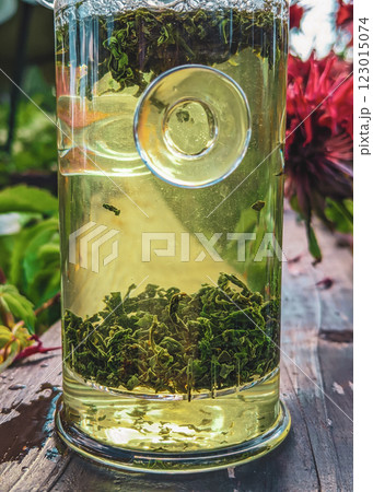 Enjoy a refreshing herbal tea infusion in a glass jar made with organic ingredients 123015074