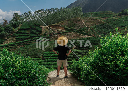A Serene and Picturesque View of Lush Tea Plantations Framed by a Beautiful Mountain Backdrop 123015239