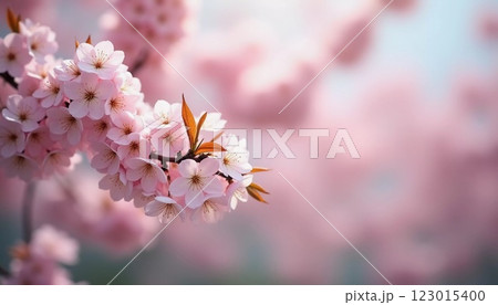Sakura is blooming. Delicate pink cherry blossoms bloom beautifully on a tree branch during the spring season, filling the scene with vibrant colors and a sense of renewal in nature. Generative AI Sakura is blooming. Delicate pink cherry blossoms bloom beautifully on a tree branch during the spring season, filling the scene with vibrant colors and a sense of renewal in nature. Generative AI 123015400