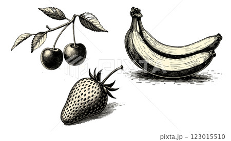 Set fruit Intricate vintage engraving in black and sepia tones with detailed linework, illustration Set fruit Intricate vintage engraving in black and sepia tones with detailed linework, illustration 123015510