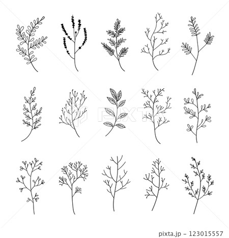 A collection of minimalist botanical line drawings featuring delicate leaves and floral elements. Perfect for logos, branding, and wedding invitations. A collection of minimalist botanical line drawings featuring delicate leaves and floral elements. Perfect for logos, branding, and wedding invitations. 123015557