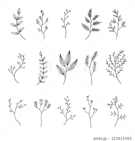 A collection of fine line botanical sketches featuring different plant species. Perfect for minimalist designs, patterns, and nature-inspired projects. 123015565