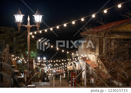 伊香保温泉　石段街の夜景 123015715