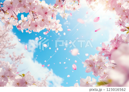 桜と青空 123016562