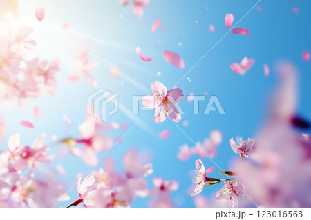 桜と青空 123016563