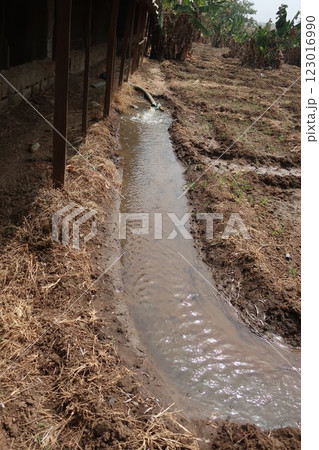 ナイジェリア連邦首都領域の農村部における灌漑 123016990
