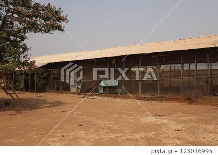 ナイジェリア連邦首都領域の農村部における養鶏 123016995