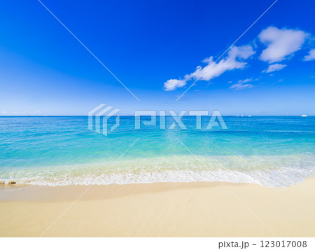 夏・海・ビーチイメージ ハワイ 夏・海・ビーチイメージ ハワイ 123017008