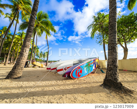 夏・海・ビーチイメージ　ハワイ 123017009