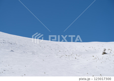 雪景色と青空 123017300
