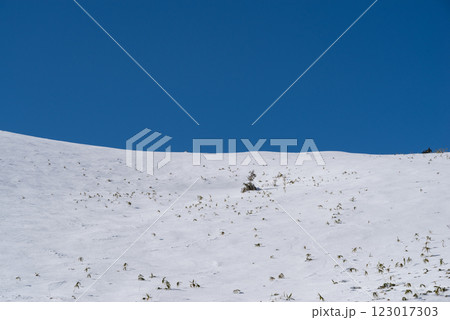 雪景色と青空 123017303