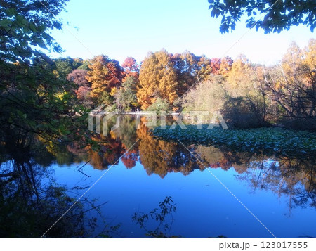 三宝寺池 三宝寺池 123017555