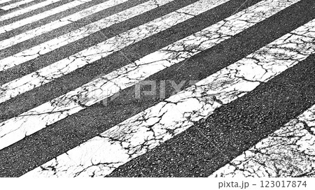横断歩道 横断歩道 123017874