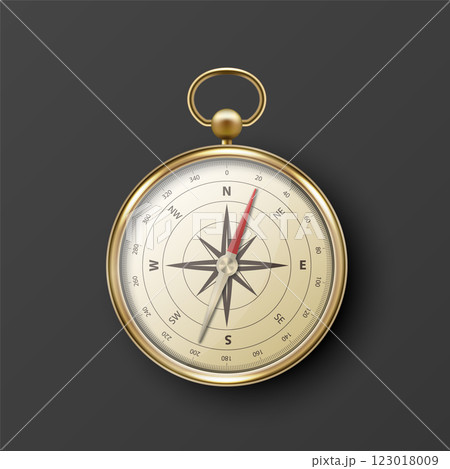 Realistic 3D Vector Compass with Gold Metallic Frame, Navigation Tool Illustration. Vintage Wind Rose Symbol on Dial, Compass Icon Close-up, Isolated 123018009