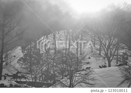 朝もやに包まれた一乗谷朝倉氏遺跡 123018011