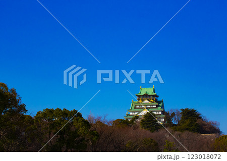 大阪城 123018072