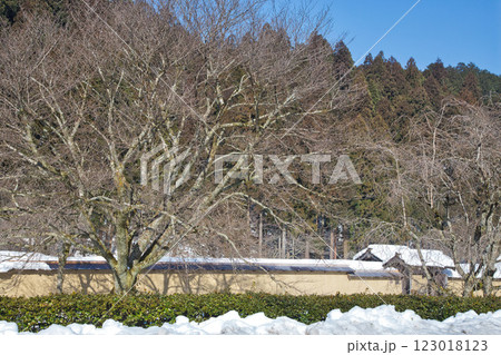朝もやに包まれた一乗谷朝倉氏遺跡 朝もやに包まれた一乗谷朝倉氏遺跡 123018123