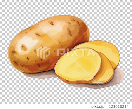 馬鈴薯水彩插圖-AI生成 123018214