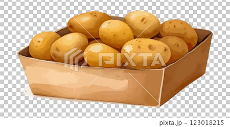 段ボールに入ったじゃがいもの水彩風イラスト　生成AI 123018215