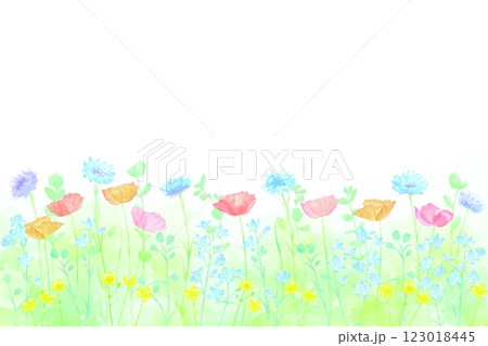 野原にカラフルな春の花々が咲くフレーム。水彩イラスト。 123018445