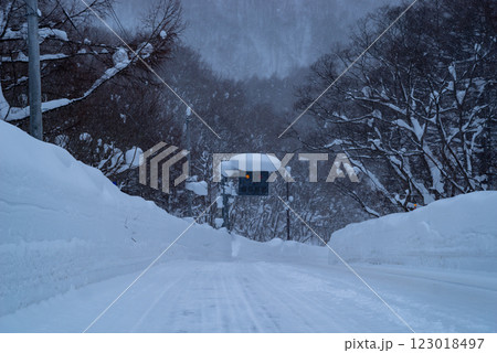 降り積もる雪の国道のドライブ e-1 降り積もる雪の国道のドライブ e-1 123018497