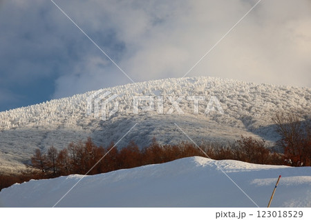 夕暮れ時の八甲田山系の風景 123018529