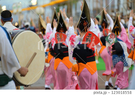 本場徳島阿波踊り　演舞場に踊り込む 123018558