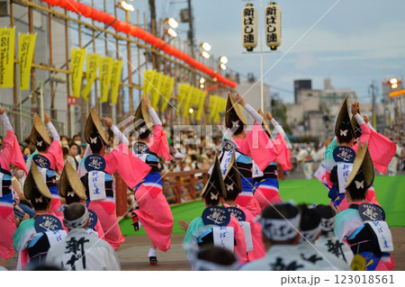 本場徳島阿波踊り　演舞場に踊り込む 123018561