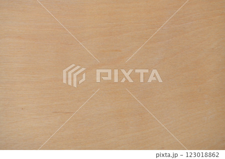 Birch plywood texture 123018862