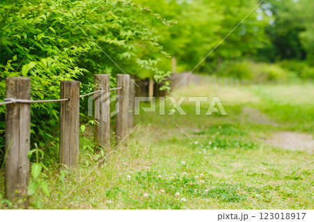芝生のある広場と木の杭の柵 123018917