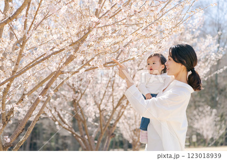 満開の桜を見る母と娘 123018939